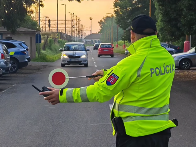 Polícia / Kontrola /