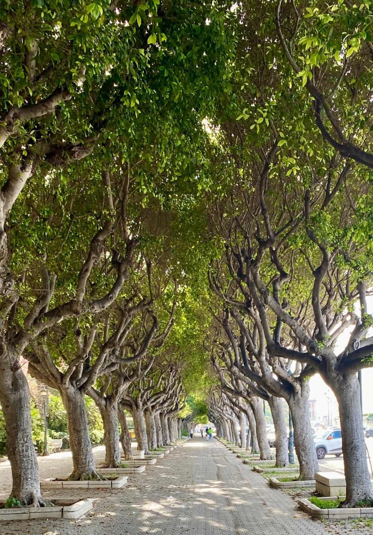 Trapani, Sicilia