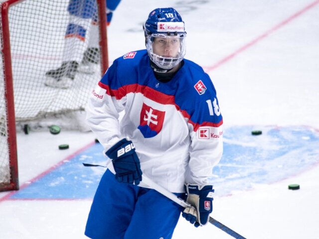 Miroslav Šatan mladší