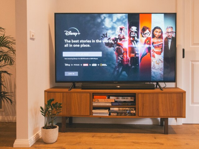 disney +