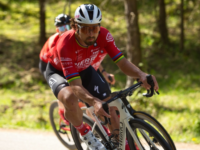 SR Cyklistika Pierre Baguette Sagan ZAX