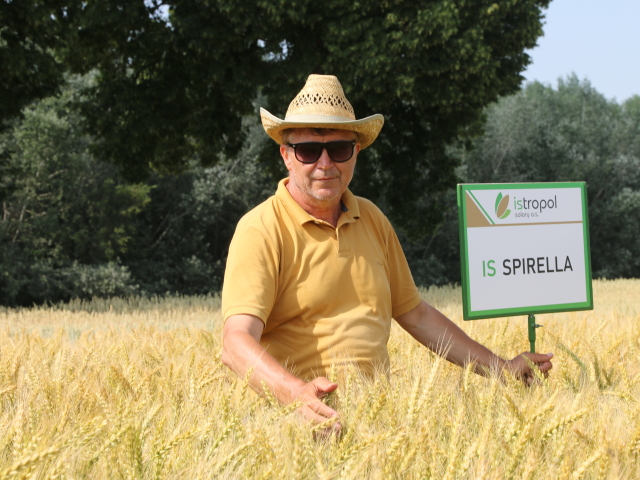 V Spirelle