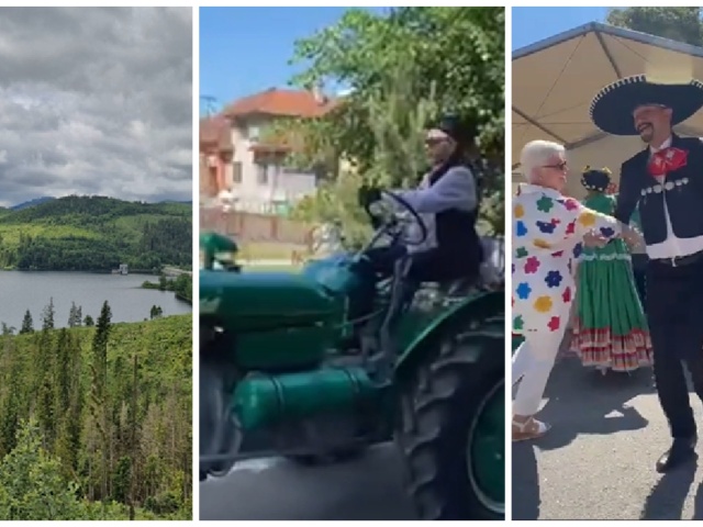 koláž, fotky, mReportér