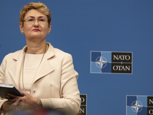 NATO, Oana Lungescu