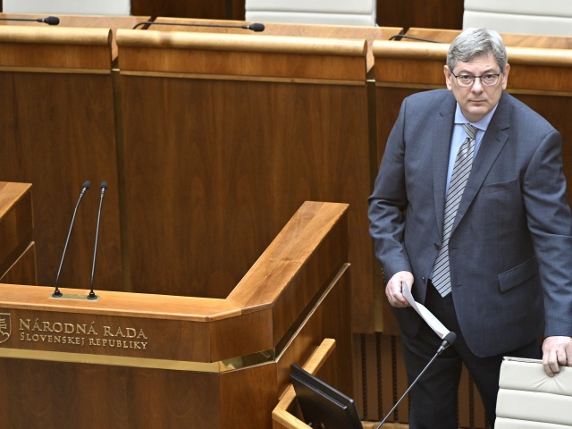 Boris Susko, NR SR