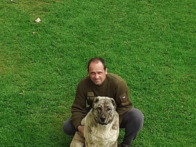 Mário Mikuláš, Poniky