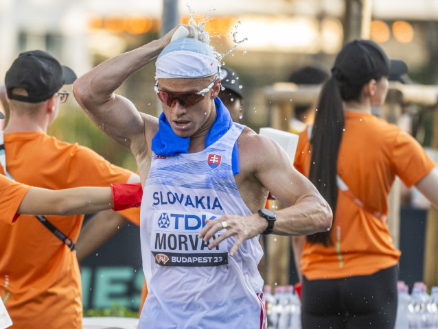 Michal Morvay