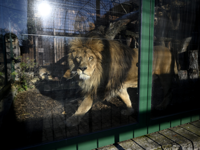 SR ZOO Bojnice Energie Šetrenie Uarus TNX
