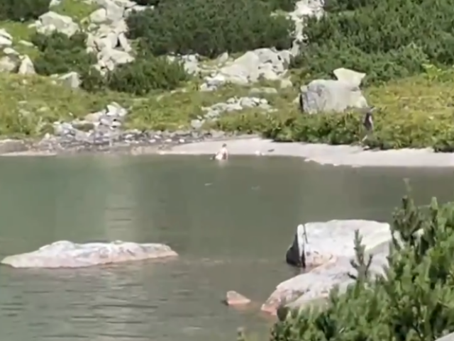 Velické pleso, arogantná turistka, kúpanie