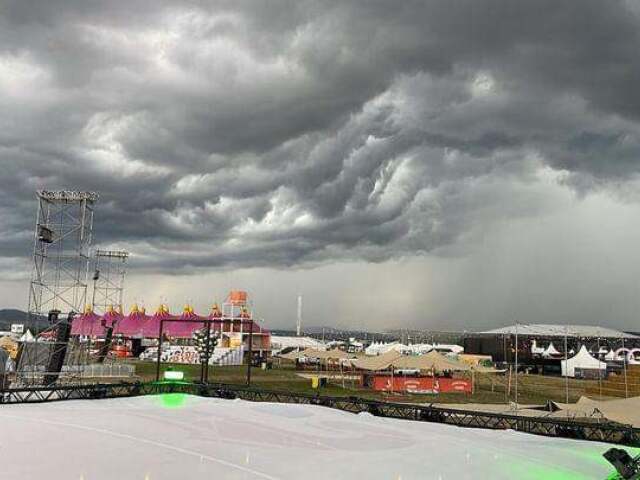 Grape / Stan / Festival /