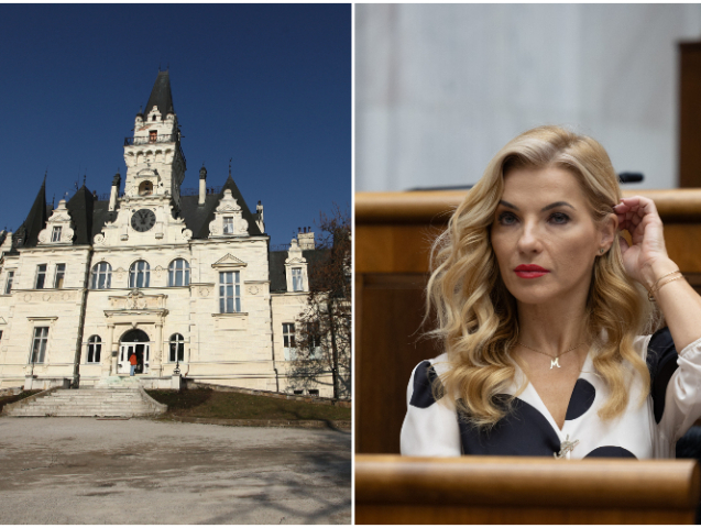 Kaštieľ Budmerice, Martina Šimkovičová