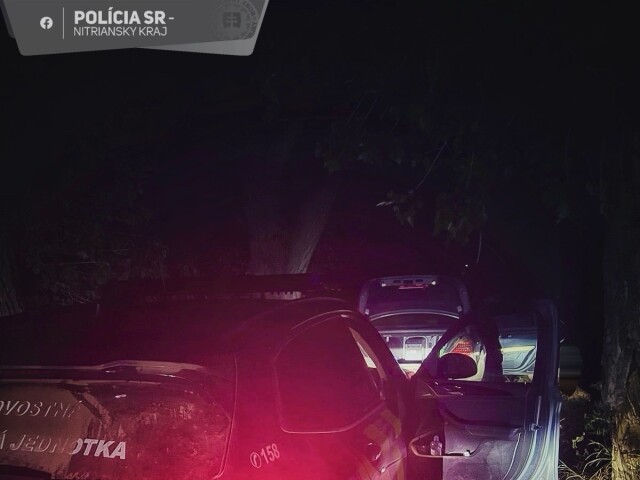 nadrogovaný šofér, polícia, slovenskí policajti