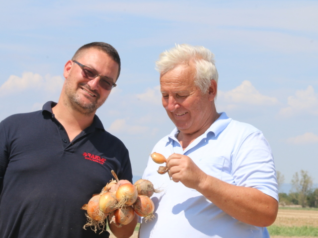 Otec a syn Dömötörovci sú úspešní pestovatelia cibule.