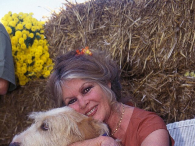 Brigitte Bardot