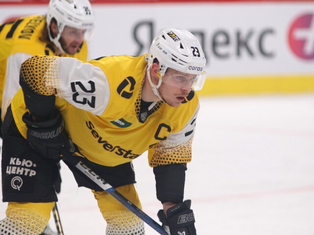 liška KHL