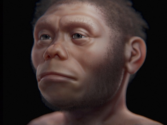 Homo floresiensis, hominid, hobit