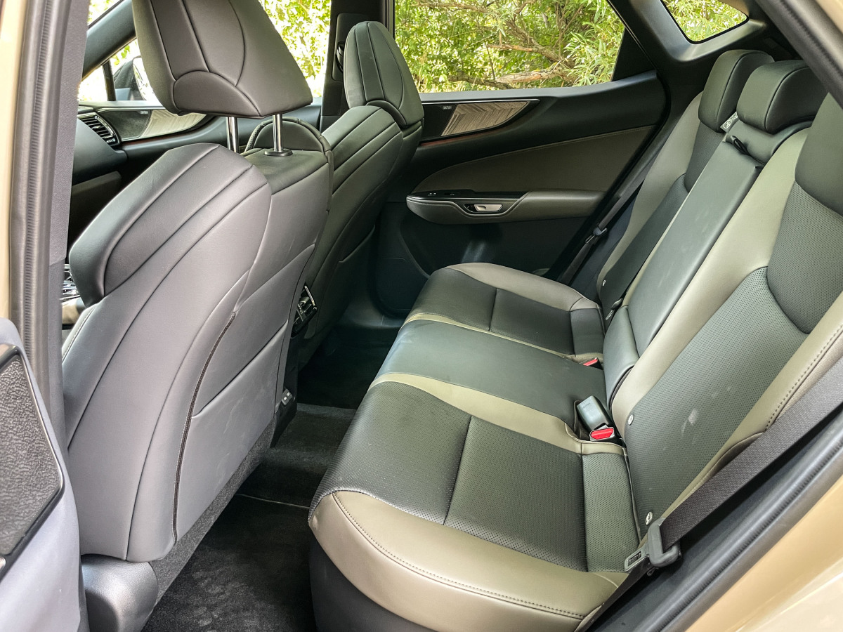 Lexus NX 350h E-Four Overtrail - test 2024