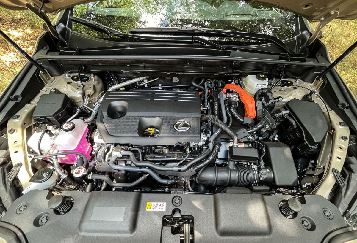 Lexus NX 350h E-Four Overtrail - test 2024