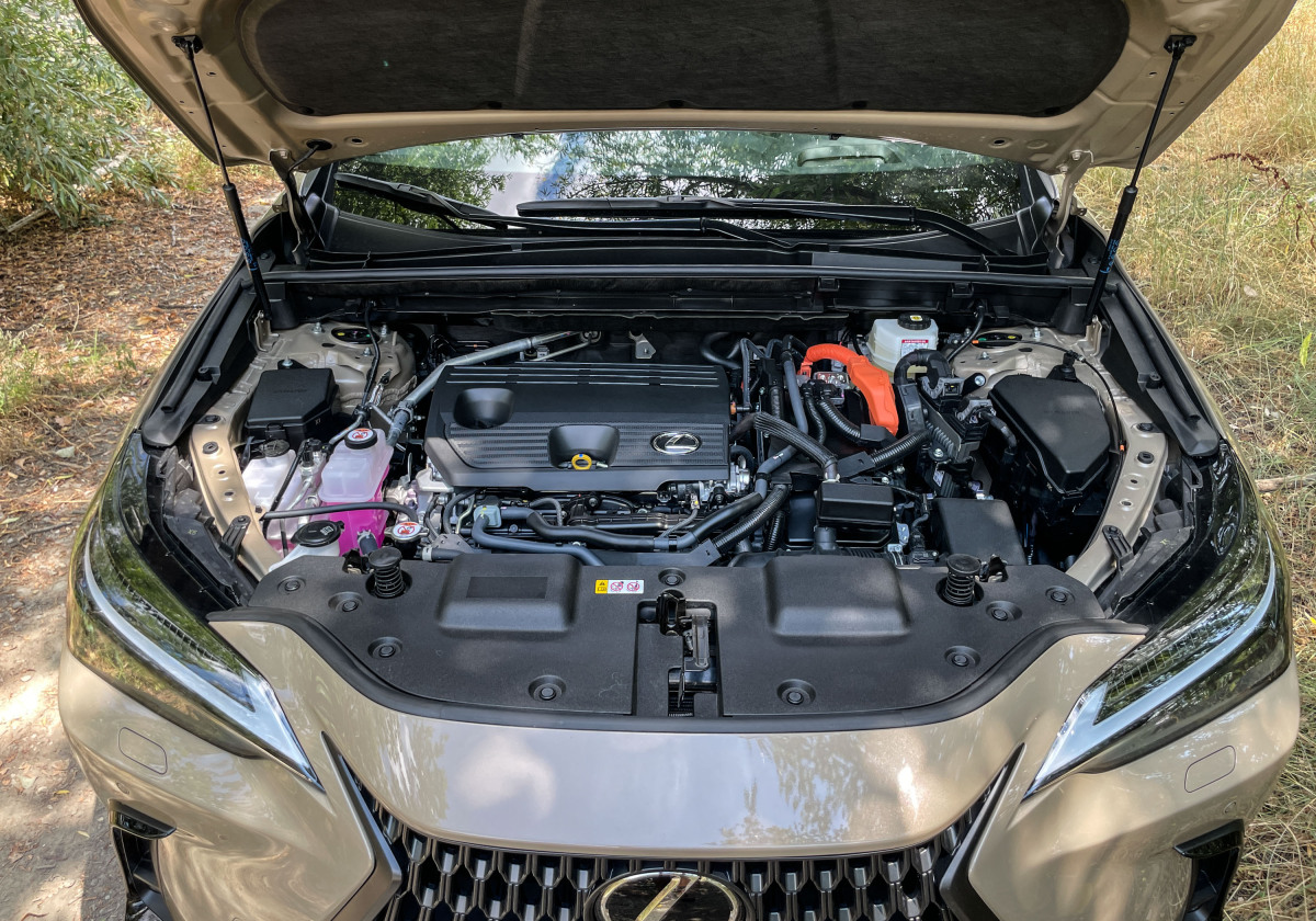 Lexus NX 350h E-Four Overtrail - test 2024