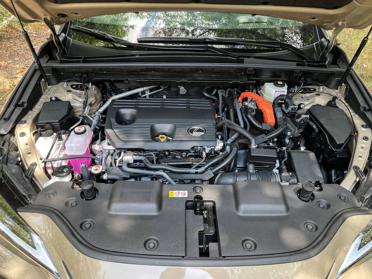 Lexus NX 350h E-Four Overtrail - test 2024