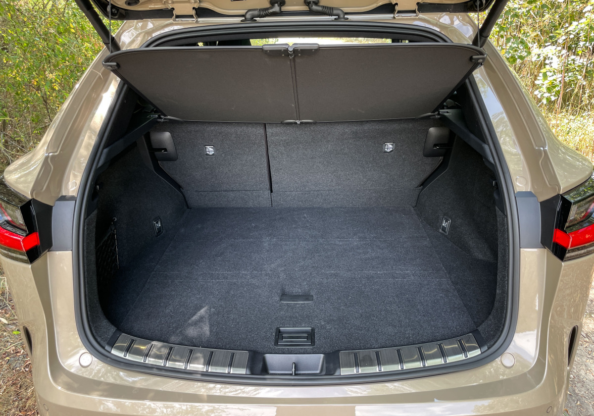 Lexus NX 350h E-Four Overtrail - test 2024