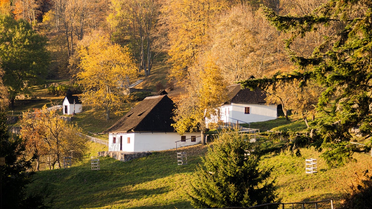 Kalište
