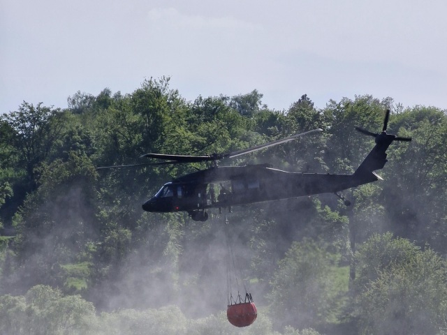 black hawk