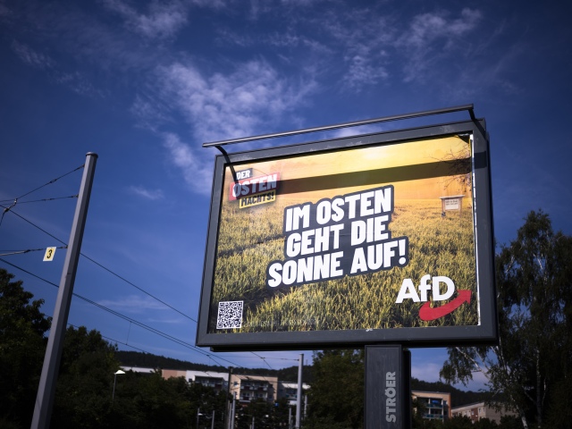 AfD, Nemecko, voľby
