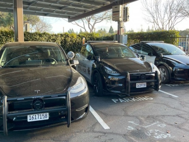 Tesla Model Y - Menlo Park 2024