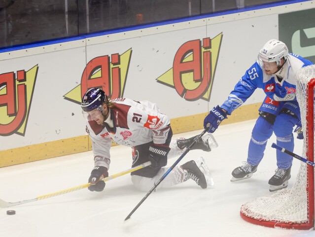 Osvienčim eisbären berlin liga majstrov