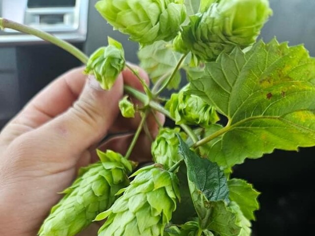 thumbnail image6