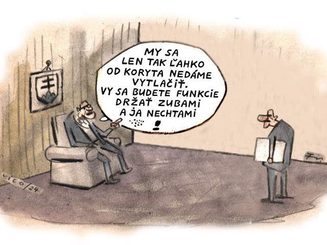 Vico odvolavanie