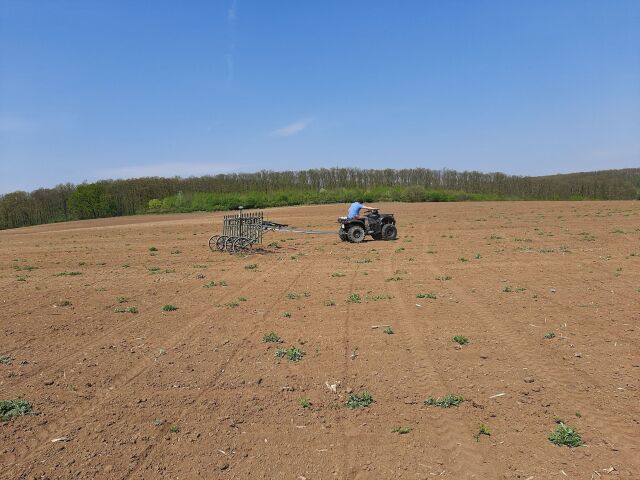 Magnetometer