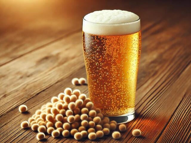 lager beer with yeast 16 9