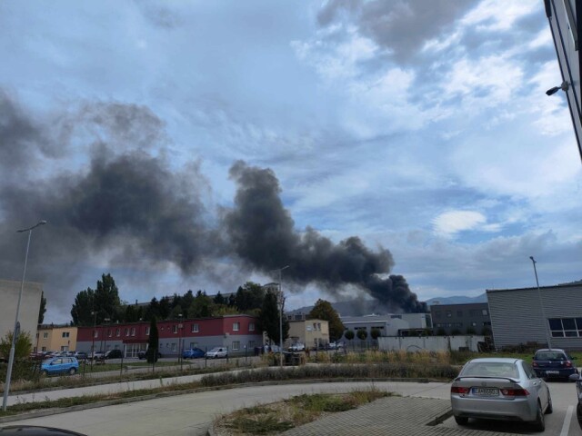 Ribe / Požiar / Dym /