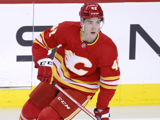 honzek nhl