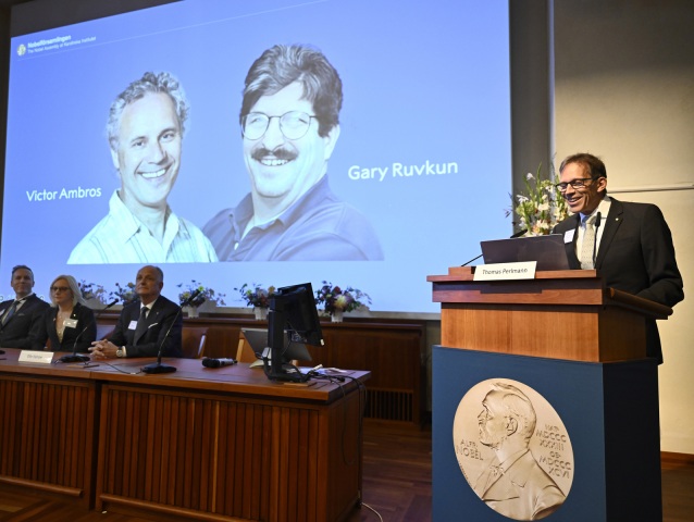 nobelova cena, Victor Ambros, Gary Ruvkun,