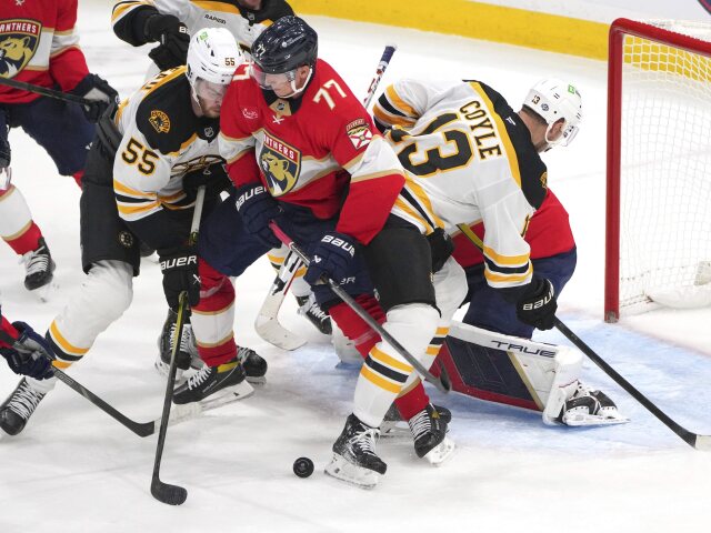 Bruins Panthers Hockey