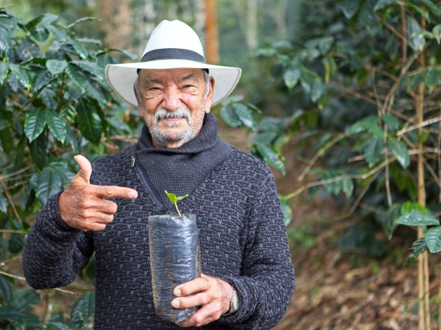 kava kolumbia