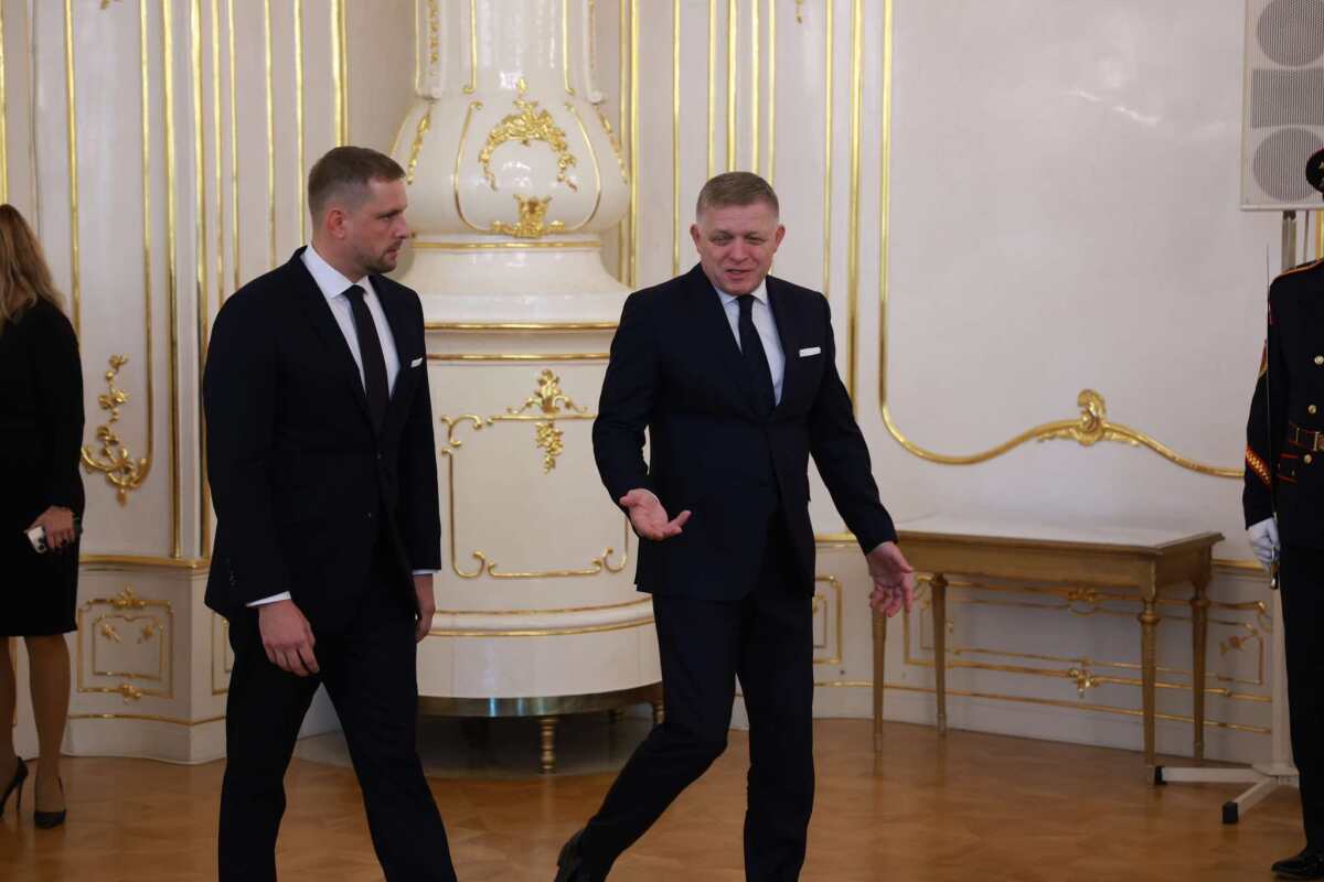 fico, šaško