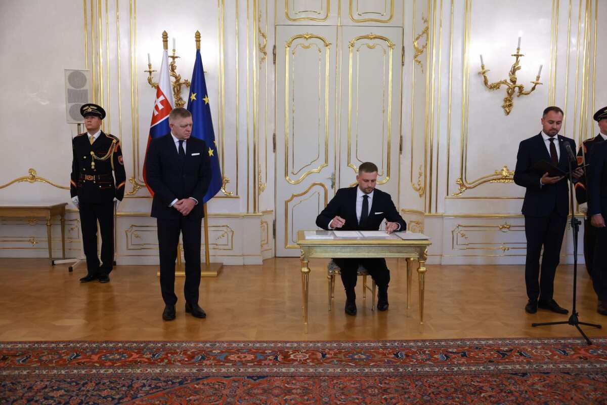 šaško, fico
