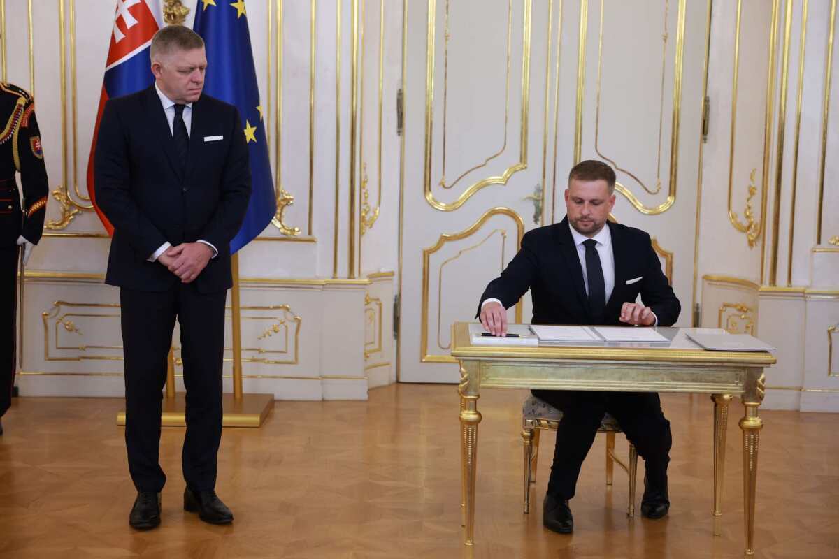 šaško, fico