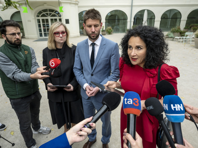 Michal Šimečka / Dana Kleinert / Zora Jaurová /