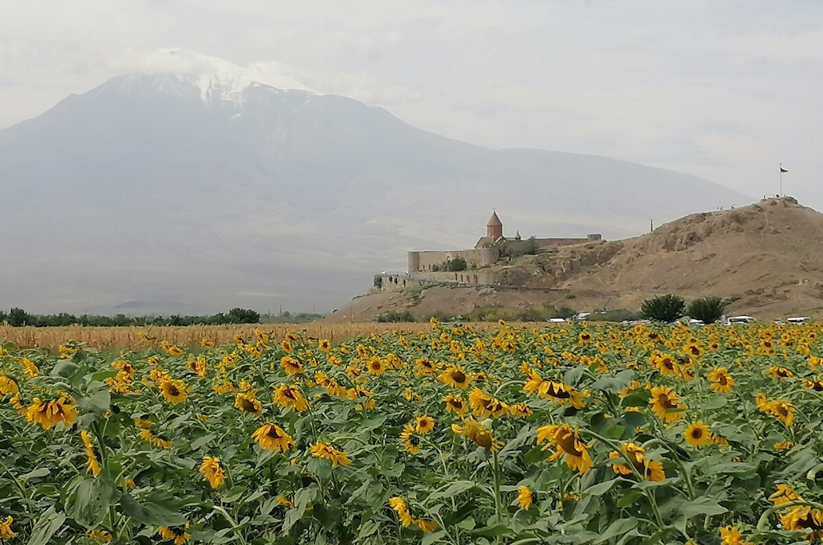 Ararat,  pred nim Chor Virap