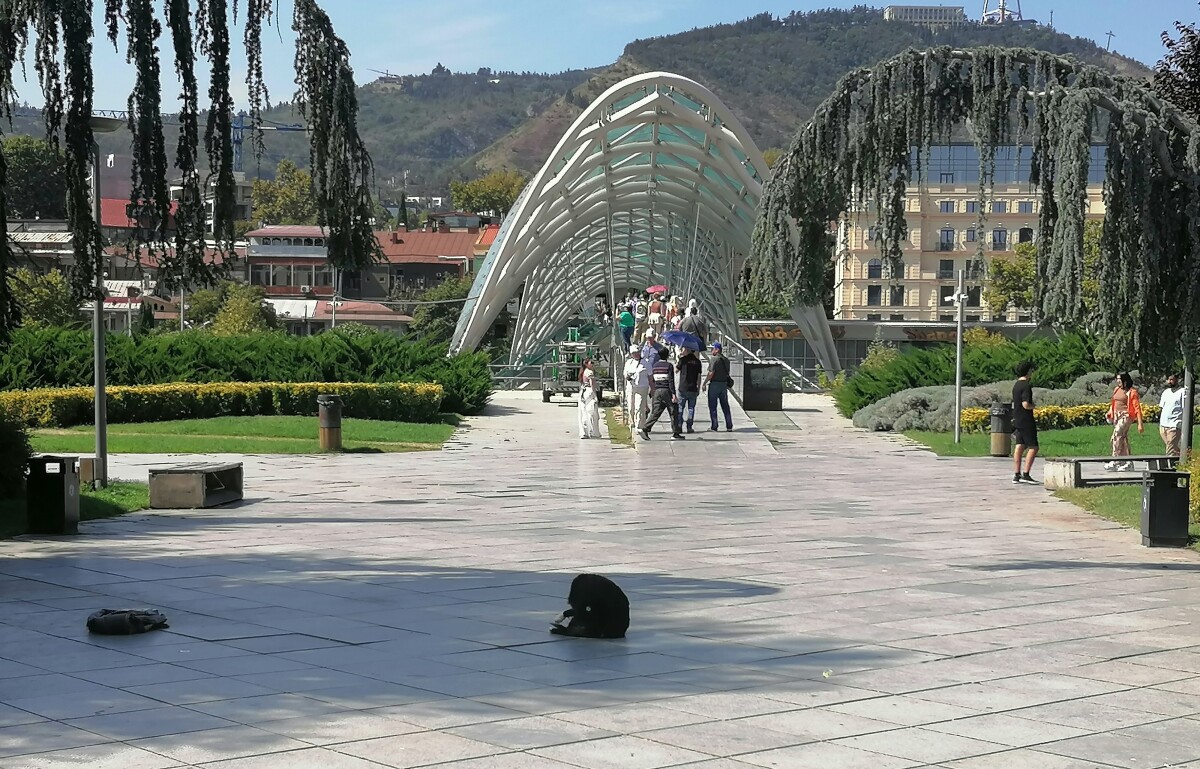 Most mieru,  Tbilisi
