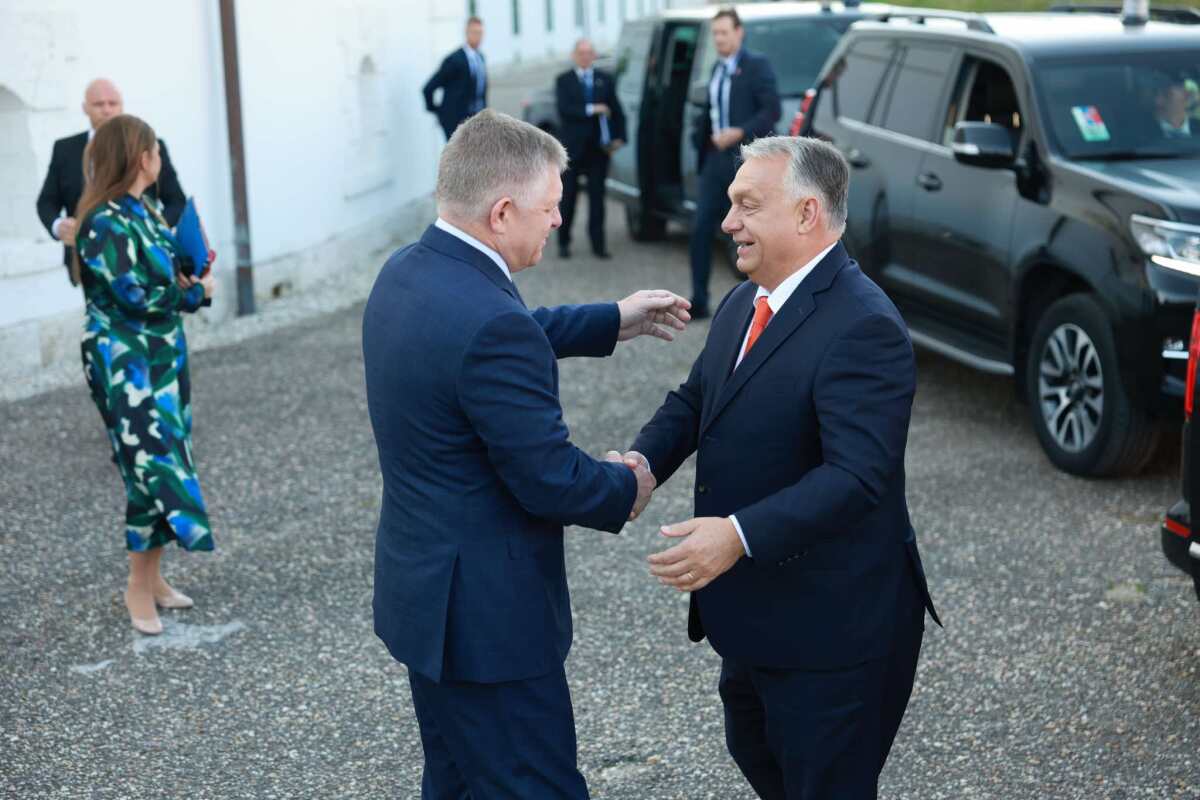 Fico, Orbán