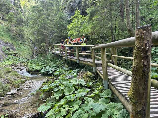 Malá Fatra, HZS, Poludňový grúň