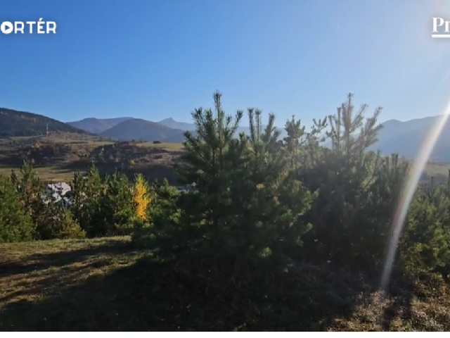 Rajecká Lesná, anjelská lavička, mReportér