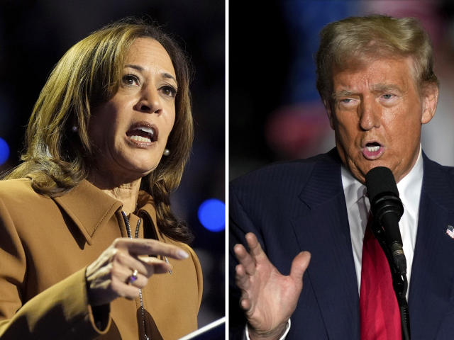 Kamala Harrisová a Donald Trump