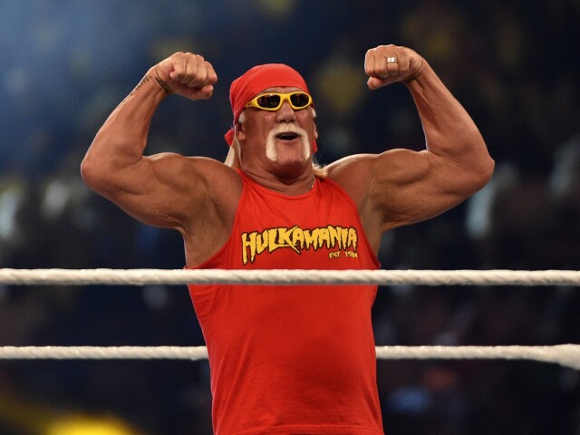 Hulk Hogan 1